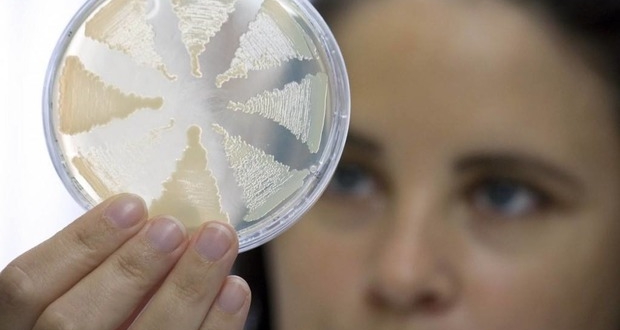 Що необхідно знати про ботулізм?