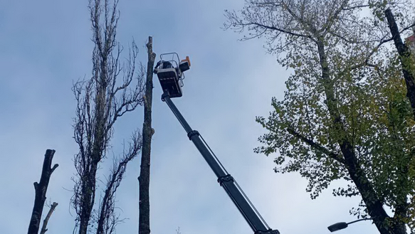 Зведення щодо виконаних робіт працівниками КП «Керуюча компанія з обслуговування житлового фонду Святошинського району м. Києва» протягом тижня