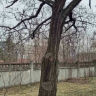 114857